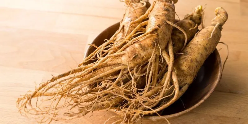 Hồng sâm phải trải qua 9 lần hấp sấy