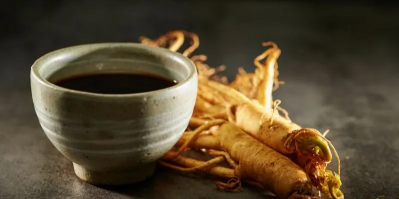 nhan-sam-o-dau-tot-nhat