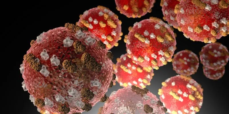 trieu-chung-cua-quai-bi